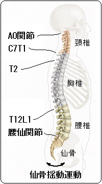 ҒẻUwI