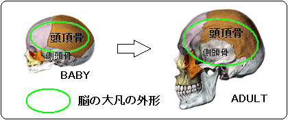 発達障害の治療